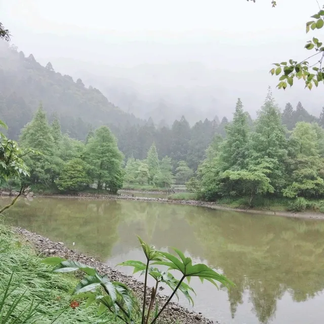 宜蘭棲蘭山莊🏞遠離塵囂享受山嵐之氣🥰