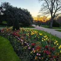 HYDE PARK - OASIS IN THE MIDDLE OF LONDON!