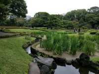 The East Garden of Imperial Palace of Tokyo