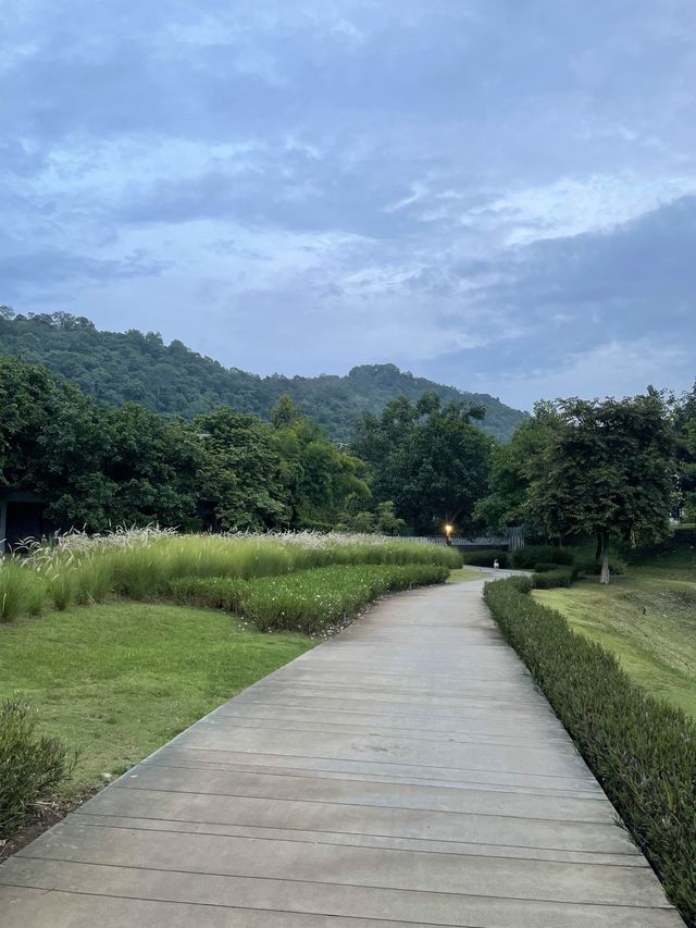 🤍 The Peri Hotel- เขาใหญ่ 🌳
