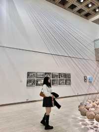 피카소 그림을 볼 수 있는 뉴사우스웨일스 주립 미술관🖼️