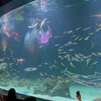 大邱の新世界デパートに水族館！？