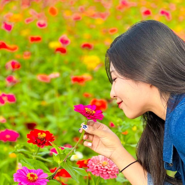 가을나들이명소 연천 댑싸리공원🌳🍁