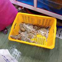 바다를 가고 싶게 만드는 여수