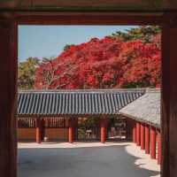 Beautiful autumn view of Bulguksa Temple