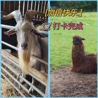 英國農場