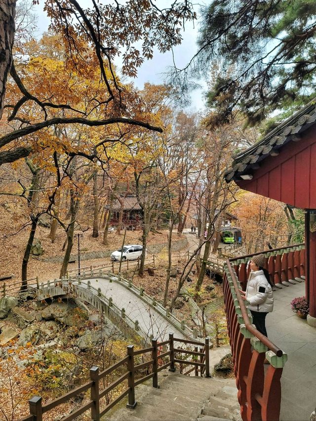 초겨울에도 분위기있는 아름다운 홍룡폭포✨️