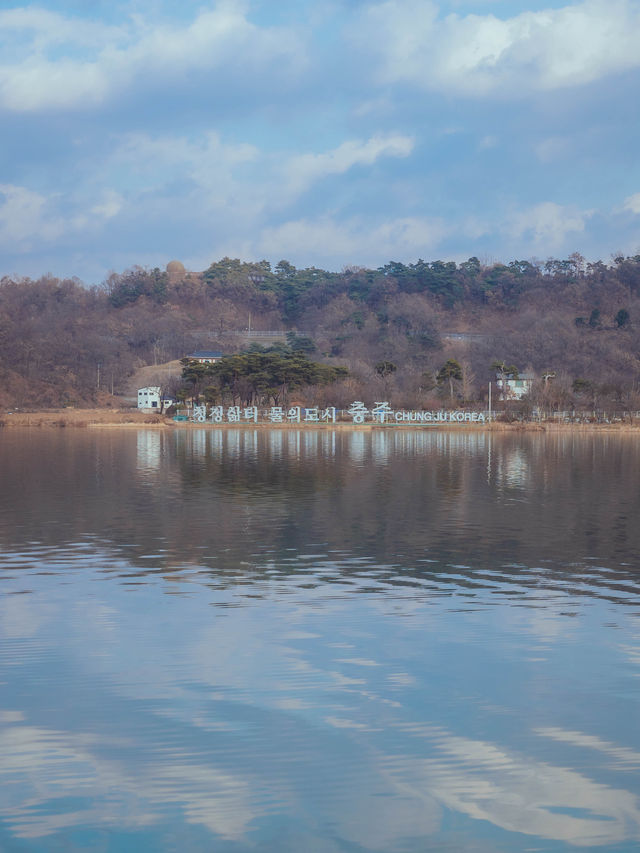 중원의 미,를 감상 할 수 있는“중앙탑사적공원”