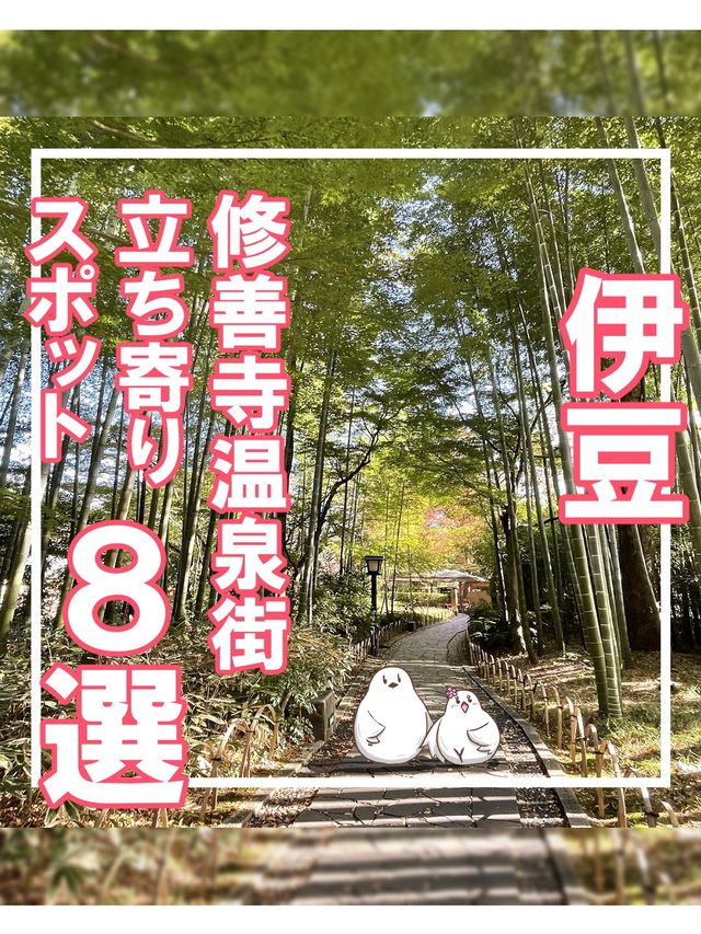 【静岡】伊豆修善寺温泉街オススメスポット8選