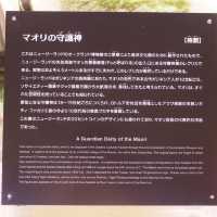 沖繩海洋文化館🫶🏻了解當地特色🈯️必去了解海洋文化