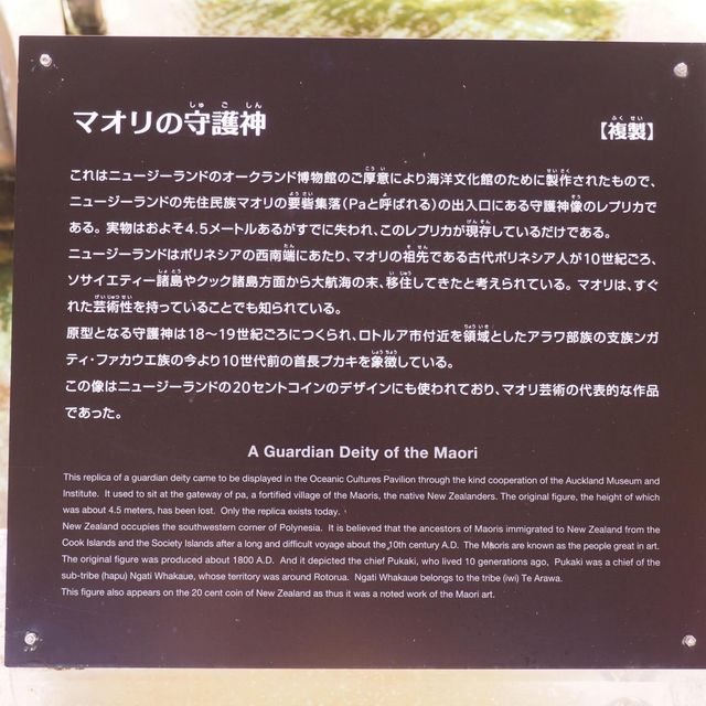 沖繩海洋文化館🫶🏻了解當地特色🈯️必去了解海洋文化