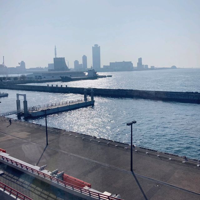 海遊館　４階カフェ　cafe R.O.F