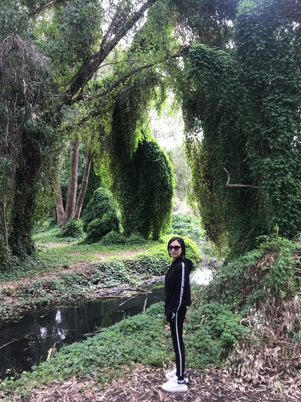 Perth 珀斯秘密花園(Secret Garden) | 世外桃源的景色