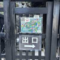彥根城天守閣的另一個角度