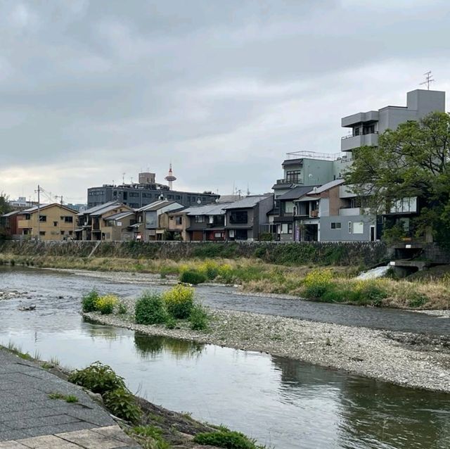 Kamo river stroll/run/bike