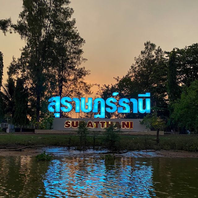 ล่องเรือ ชมหิ่งห้อยแม่น้ำตาปี ยามเย็น