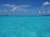 Koror @ Palau 🪸