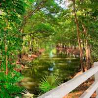 @อุทยานบัวเฉลิมพระเกียรติ สวนสาธารณะสกลนคร