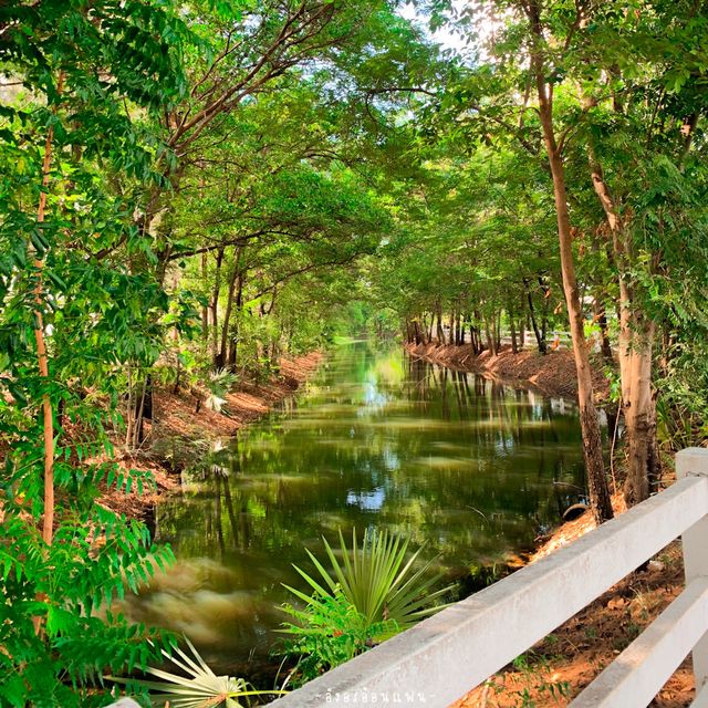 @อุทยานบัวเฉลิมพระเกียรติ สวนสาธารณะสกลนคร