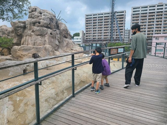 【山口】市立しものせき水族館・海響館