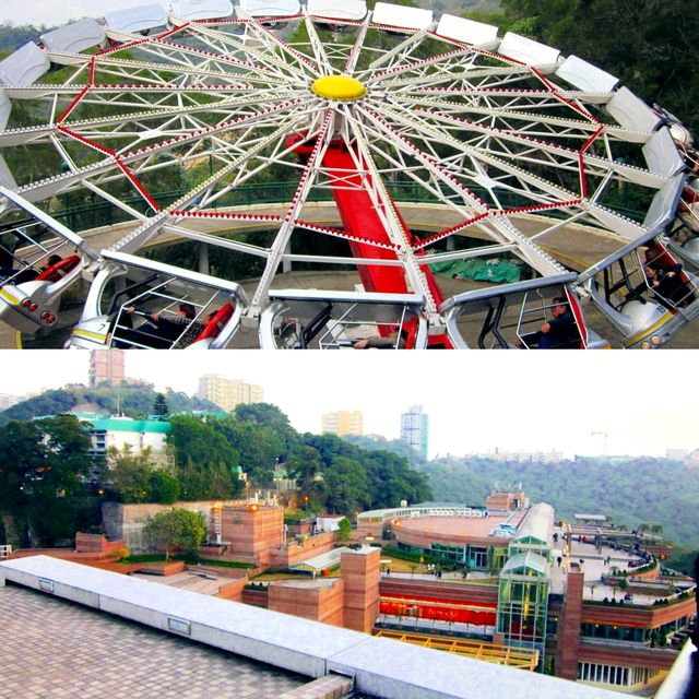 Fun Time at Hong Kong Ocean Park