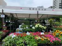 札幌　札幌観光　今がベストシーズン！初夏の札幌　花フェスタ！