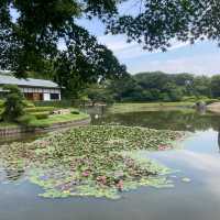 日本庭園「花田苑」