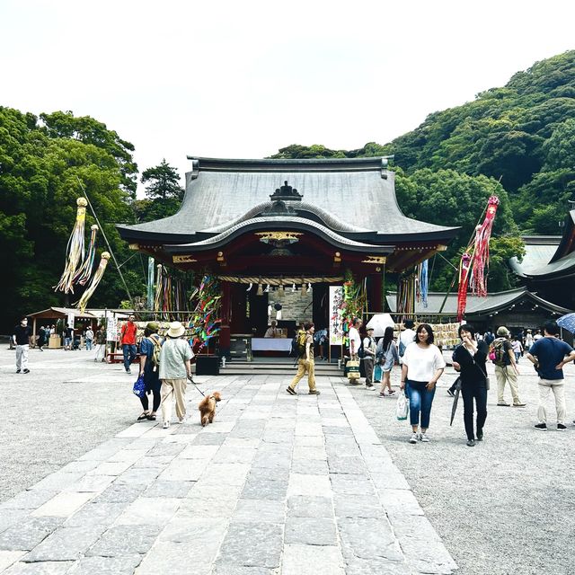 Exploring Kamakura engakuji 