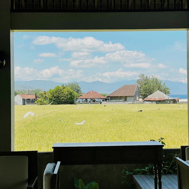 Lovina Beach club & Resort