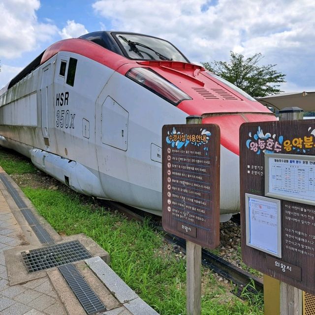 韓國景點😍義王鐵道自行車☺️風景優美⭐打卡靚📸