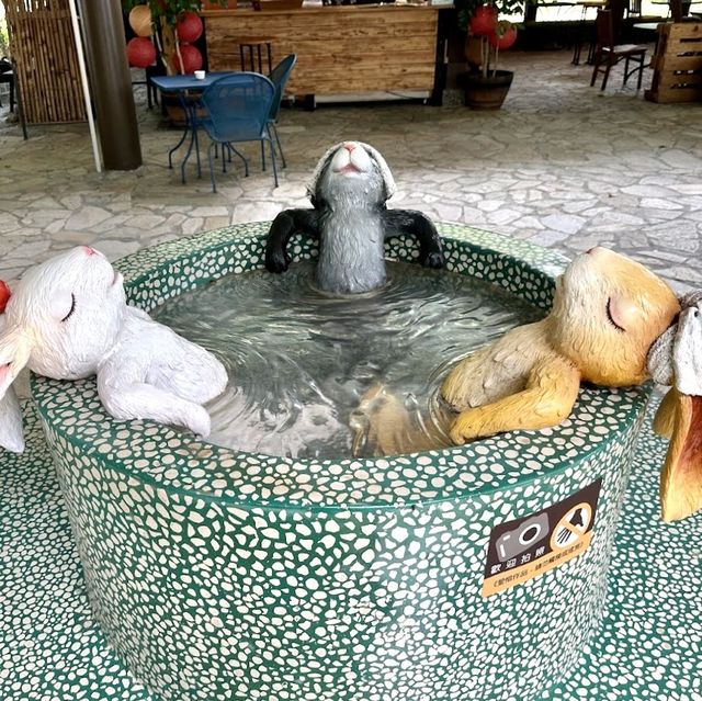 礁溪溫泉公園-兔仔森林及免費足湯體驗
