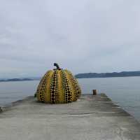 In search for the red and yellow pumpkins- Naoshima 