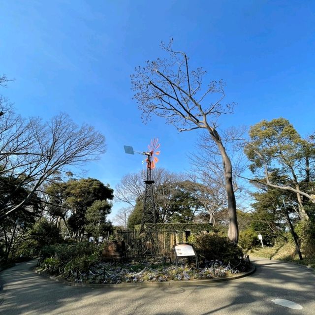 【神奈川】横浜🌼港の見える丘公園