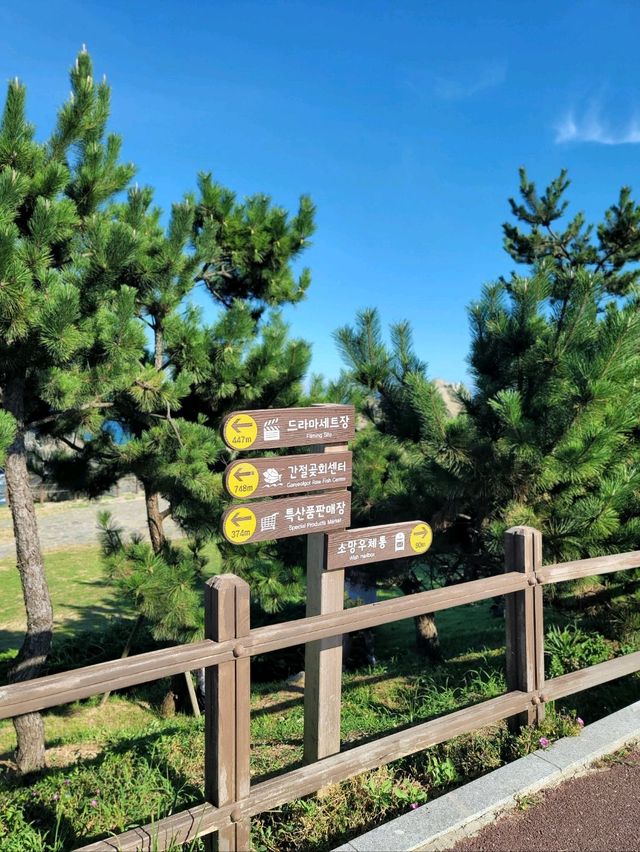 간절곶 랜드마크 소망우체통📮