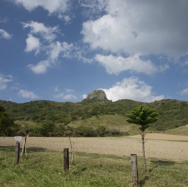 墾丁 ｜⛰️民宿眺望大尖山遊牧場