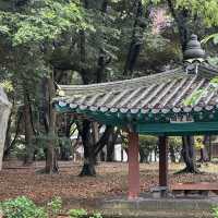 한반도에서 가장 오래된 유적 🪵 제주 삼성혈