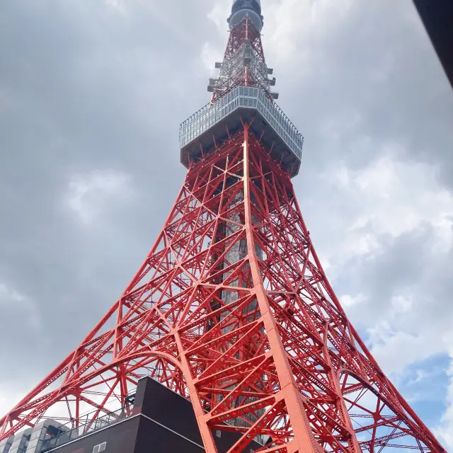 オープントップバスで時短・爽快ツアー🚌