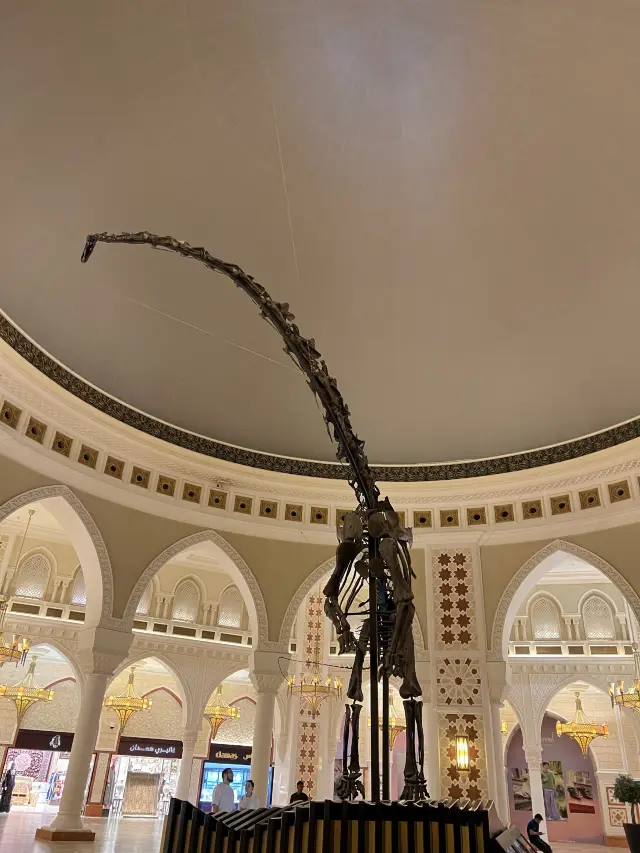 I found a 🦕fossil in Dubai! 