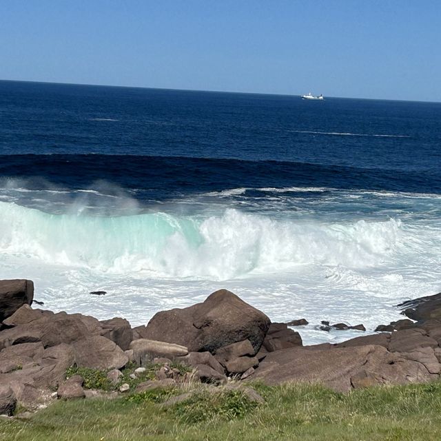 A Day in Newfoundland Labrador 