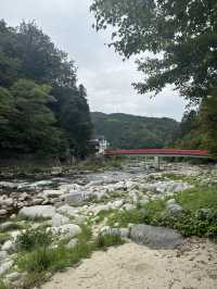 《愛知旅行》 おすすめ観光スポット🚩香嵐渓!