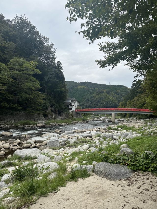《愛知旅行》 おすすめ観光スポット🚩香嵐渓!