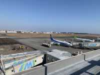 宮崎　宮崎観光　宮崎ブーゲンビリア空港から伊丹空港へANA premium classで快適フライト！