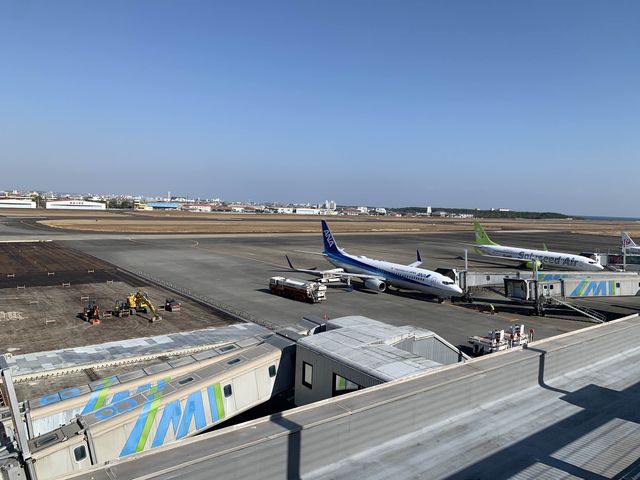 宮崎　宮崎観光　宮崎ブーゲンビリア空港から伊丹空港へANA premium classで快適フライト！
