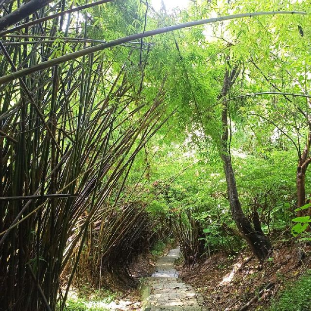 祕境溪流古道 ~ 狗慇勤古道
