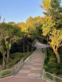 인천 노을 명소 자유공원🌅