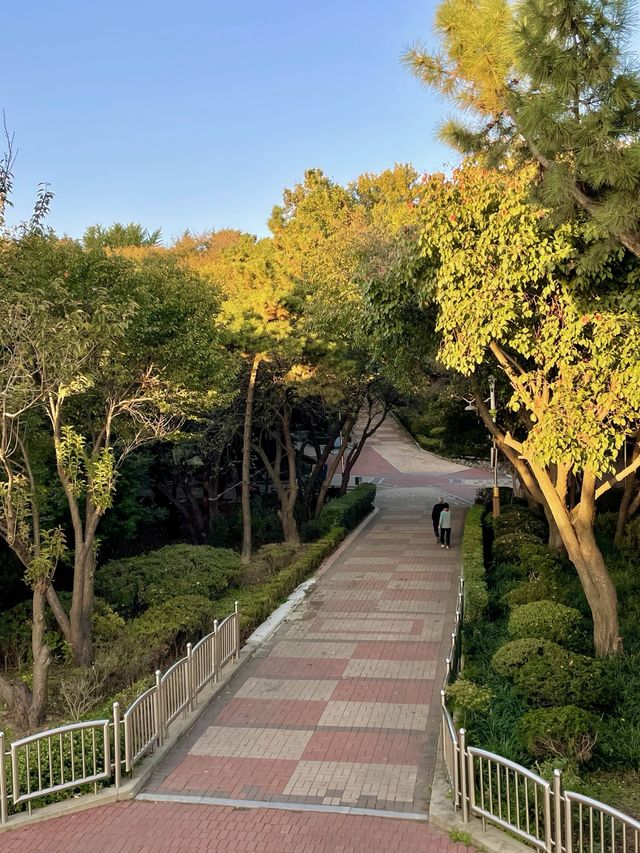 인천 노을 명소 자유공원🌅