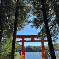 日本箱根推薦