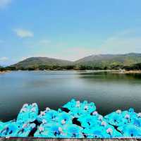 廸欣湖：湖畔🏞️+野餐🧺，天然寧靜中享受美食和放鬆😌🍽️！