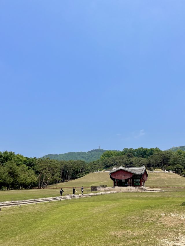 조선시대 왕의 무덤을 가까이서 구경할 수 있는 서오릉🪦