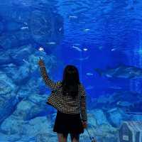 테마가 다양한 코엑스 아쿠아리움🐠🫧